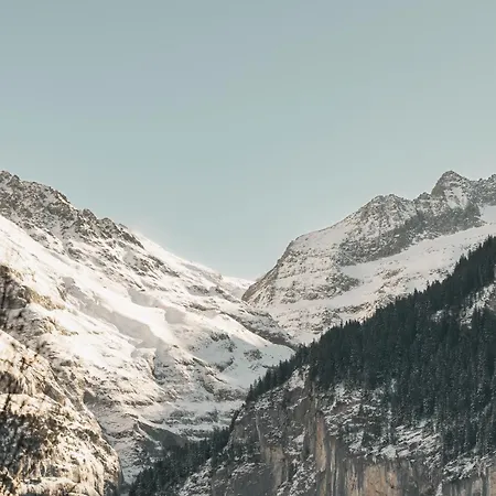 Homely - Naehe Terminal 公寓