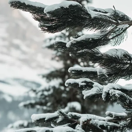 Homely - Naehe Terminal Grindelwald