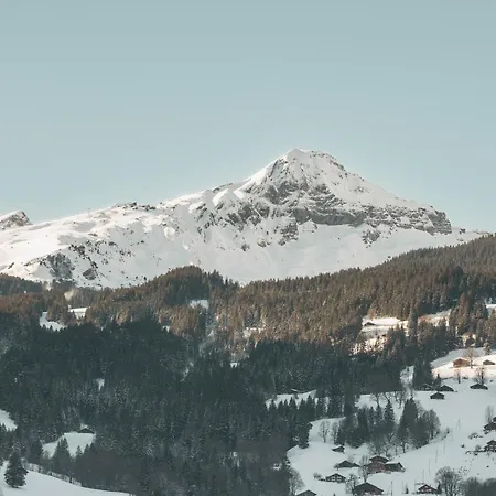 Apartamento Homely - Naehe Terminal Grindelwald