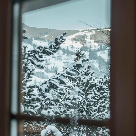 Homely - Naehe Terminal Appartement Grindelwald