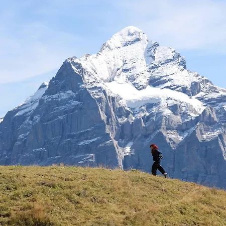 Appartement Homely - Naehe Terminal *