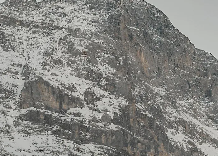 Homely - Naehe Terminal