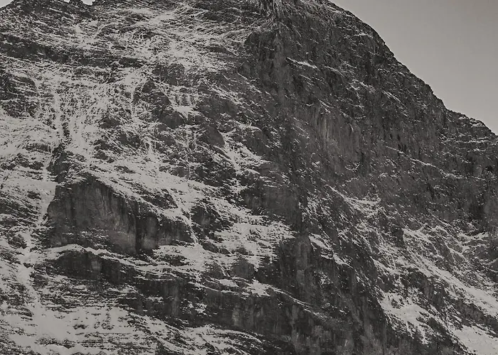 Appartement Homely - Naehe Terminal Grindelwald