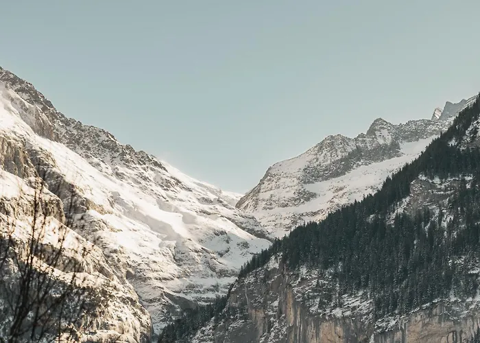 Homely - Naehe Terminal 公寓