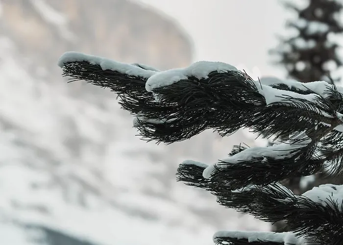 Homely - Naehe Terminal 公寓