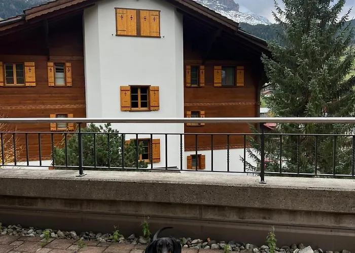 Homely - Naehe Terminal