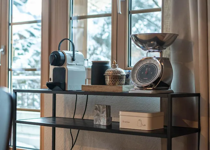 Homely - Naehe Terminal Apartament Grindelwald