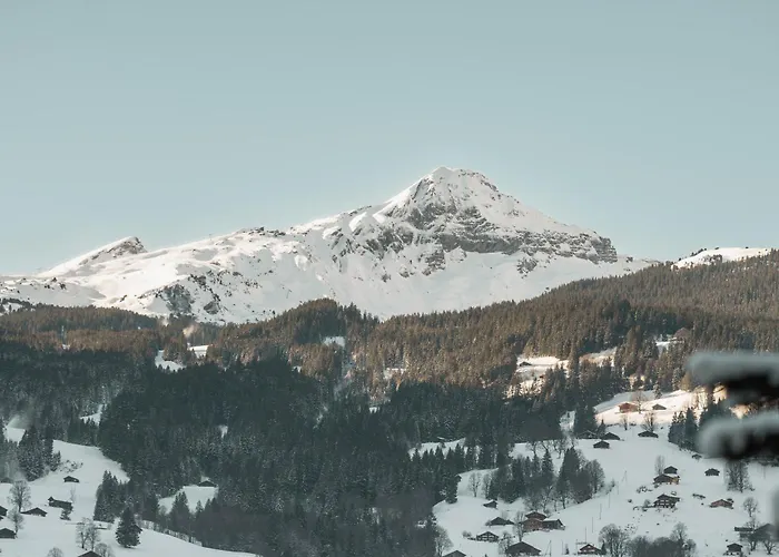 Apartament Homely - Naehe Terminal Grindelwald