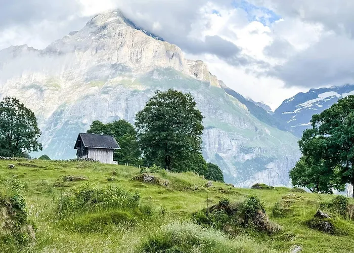 Apartament Homely - Naehe Terminal *